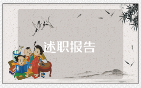 鄉(xiāng)鎮(zhèn)政府財務調研報告的格式