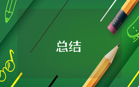 村干部工作總結