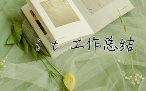 it工作總結 it工作總結和計劃怎么寫