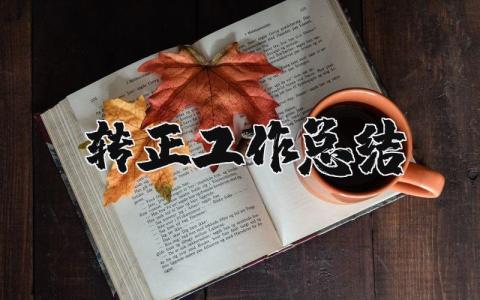 轉(zhuǎn)正工作總結(jié)精選38篇