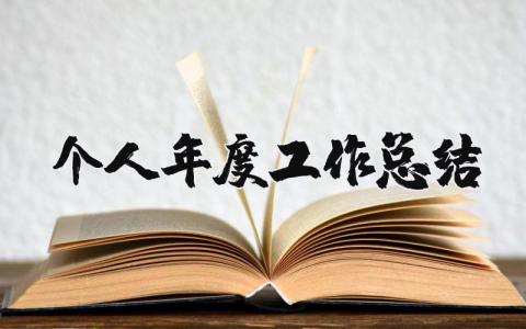 個人年度工作總結(jié)精選33篇