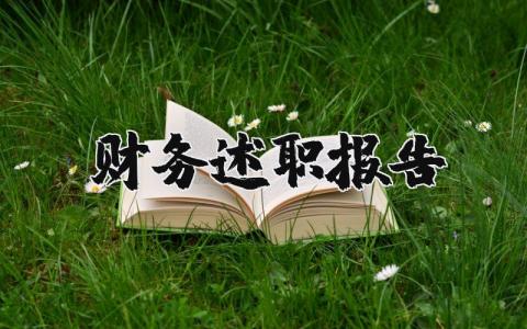 財務述職報告精選30篇