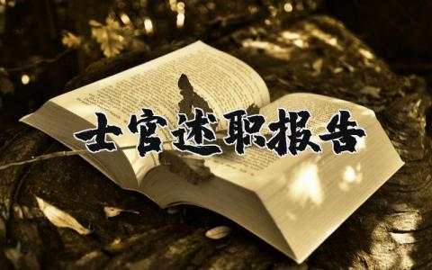 士官述職報告精選9篇