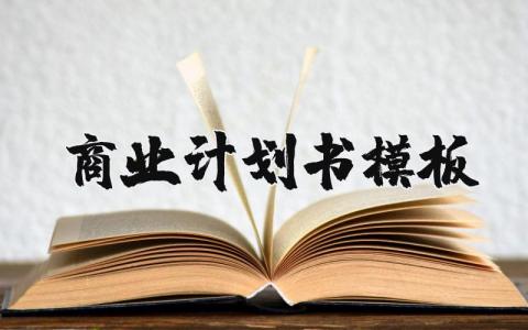 商業計劃書模板精選3篇