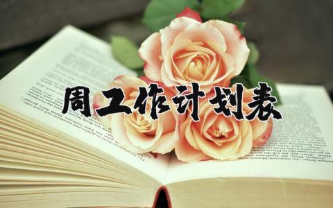 周工作計劃表精選12篇