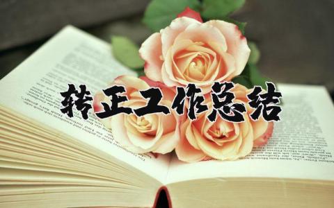 轉正工作總結精選22篇