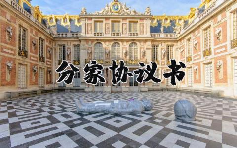 分家協議書怎樣才有法律效力 分家協議書格式最新模板 19篇