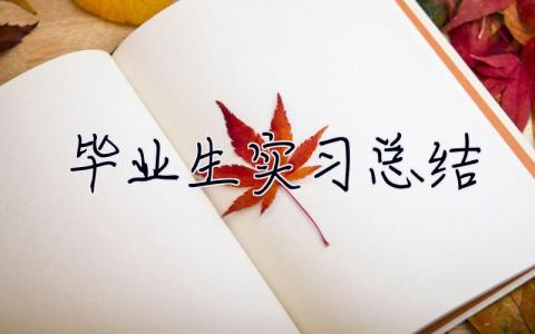 畢業(yè)生實(shí)習(xí)總結(jié) 大學(xué)生實(shí)習(xí)報(bào)告