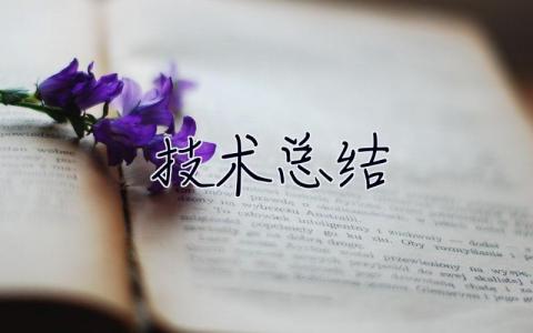 技術總結 技術總結3000字范文