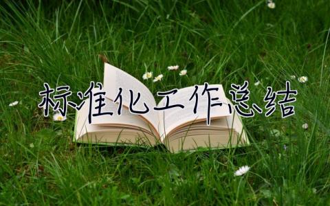 標(biāo)準(zhǔn)化工作總結(jié) 標(biāo)準(zhǔn)化工作總結(jié)報告