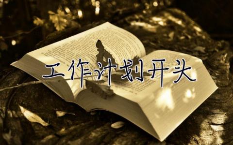 工作計(jì)劃開(kāi)頭 工作計(jì)劃開(kāi)頭怎么寫(xiě)好