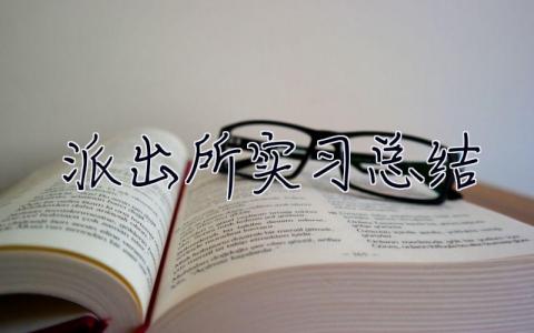 派出所實習總結 派出所社會實踐報告3000字