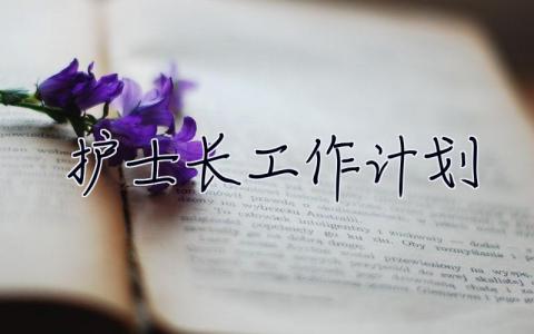 護(hù)士長工作計劃 護(hù)士長工作計劃2023年