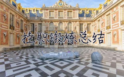 掛職鍛煉總結(jié) 掛職鍛煉總結(jié)發(fā)言稿