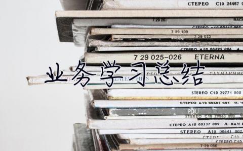 業務學習總結 小學教師業務學習總結