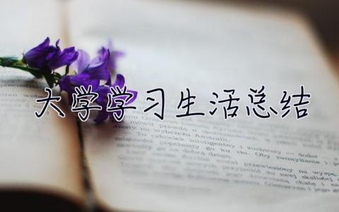 大學(xué)學(xué)習(xí)生活總結(jié) 大學(xué)生活總結(jié)3000字