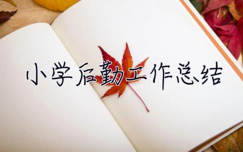 小學后勤工作總結 小學后勤工作總結2023年