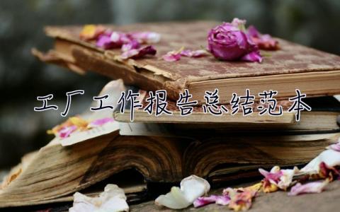 工廠工作報告總結范本 工廠工作報告總結范本大全