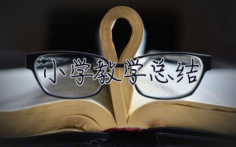 小學(xué)教學(xué)總結(jié) 小學(xué)教學(xué)總結(jié)范文
