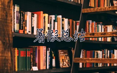 暑假總結 暑假總結800字