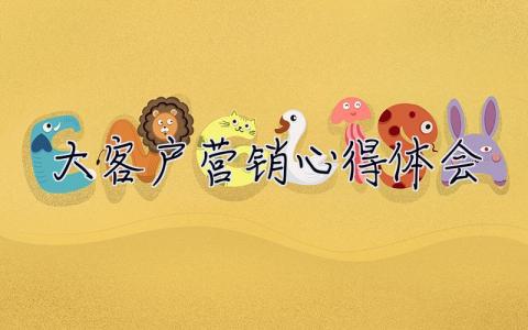 大客戶營銷心得體會 大客戶營銷心得體會范文