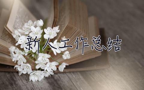 新人工作總結 新人工作總結怎么寫