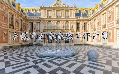 鄉(xiāng)鎮(zhèn)衛(wèi)生院院感工作計劃 鄉(xiāng)鎮(zhèn)衛(wèi)生院院感工作計劃最新