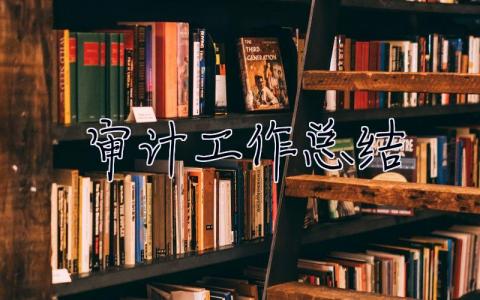 審計工作總結 審計工作總結個人
