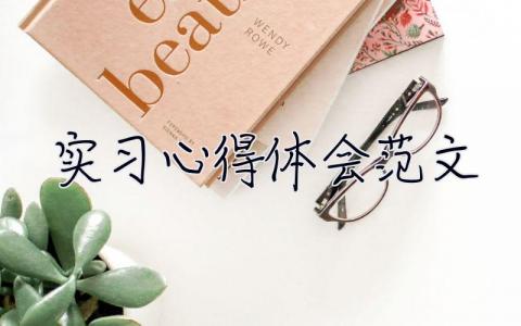 實習心得體會范文 實習心得體會