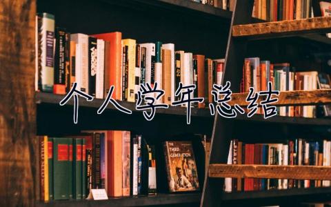 個人學年總結 個人學年總結大一