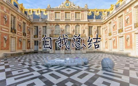 自我總結 自我總結大學生