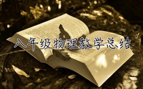 八年級物理教學總結(jié) 八年級物理教學總結(jié)第二學期
