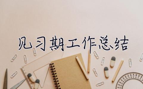 見習期工作總結 見習期工作小結