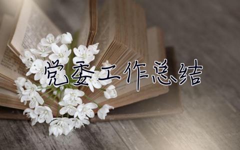黨委工作總結 黨委工作總結下一步工作計劃