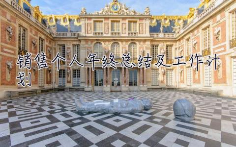 銷售個人年終總結及工作計劃 銷售個人年終總結及工作計劃代辦