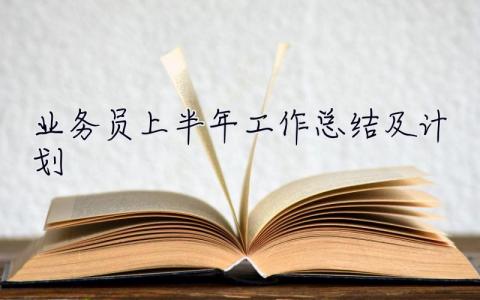 業務員上半年工作總結及計劃 業務員上半年工作總結及計劃怎么寫