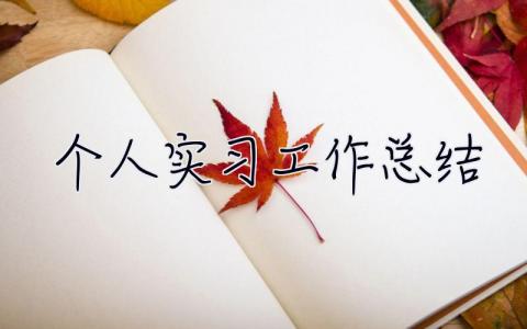 個人實習(xí)工作總結(jié) 實習(xí)期工作總結(jié)