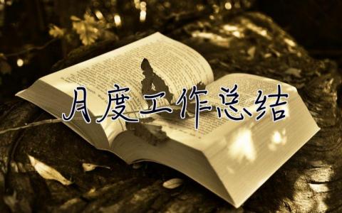 月度工作總結 月度工作總結ppt模板