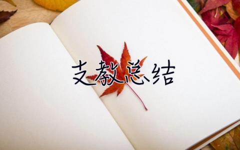 支教總結 支教總結800字