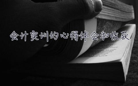會計實訓的心得體會和收獲 會計實習心得