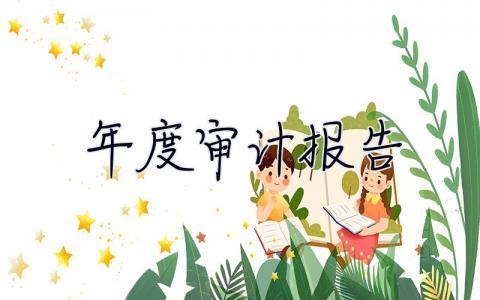 年度審計報告 年度審計