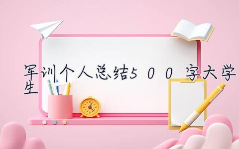 軍訓(xùn)個(gè)人總結(jié)500字大學(xué)生 軍訓(xùn)個(gè)人總結(jié)