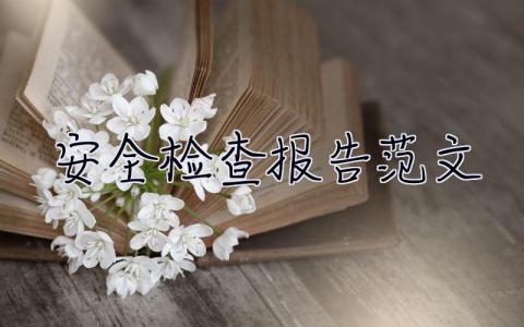 安全檢查報告范文 安全檢查報告