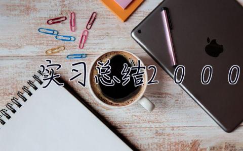 實習總結2000字 實習總結范文