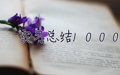 實(shí)習(xí)總結(jié)1000字 實(shí)習(xí)總結(jié)