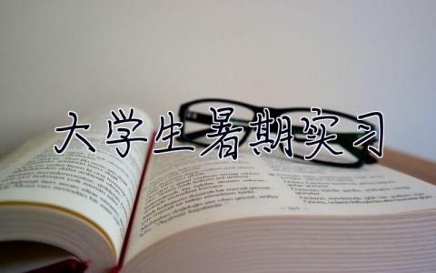 大學生暑期實習 大學生頂崗實習總結