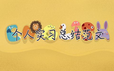 個人實(shí)習(xí)總結(jié)范文 個人實(shí)習(xí)總結(jié)范文