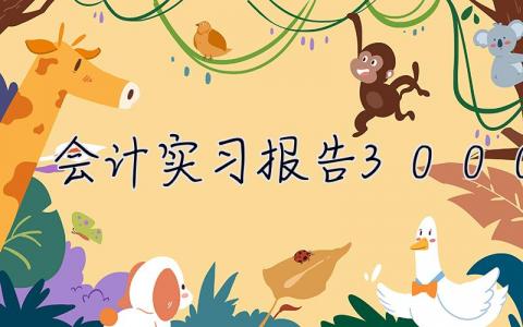 會計實習報告3000字 會計實習總結