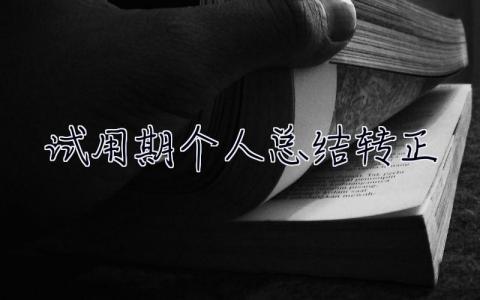 試用期個人總結(jié)轉(zhuǎn)正 試用期個人總結(jié)
