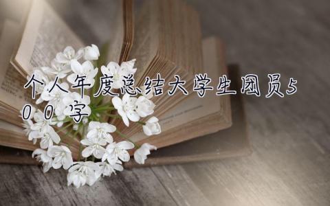 個人年度總結(jié)大學(xué)生團員500字 個人年度總結(jié)大學(xué)生